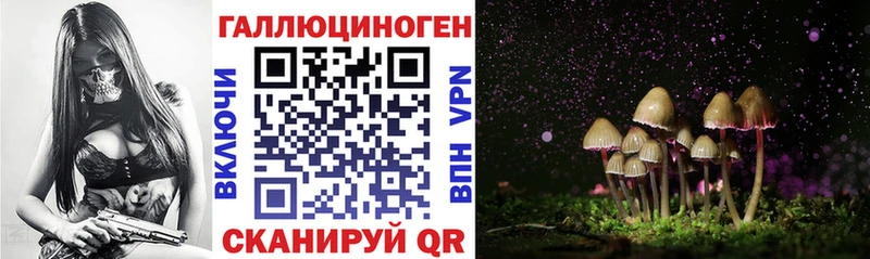 mega вход Яхрома Галлюциногенные грибы мицелий