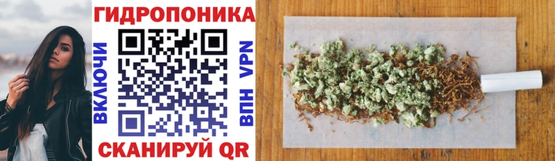 дарк нет формула  Яхрома  Конопля семена  наркотики 